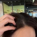 앙꼬네 미용실 | 선릉 미용실 맞춤컬러 염색 후기, 준오헤어선릉테헤란로점