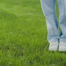 회령 옷 이미지