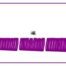 테디짐PT 이미지