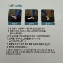 수송로 | 이숙경발가락교정기 추천 BLB 밸런스풋 | 무지외반증 통증 발가락교정 후기