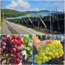 갈기산농장 이미지