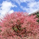 #신승태 동영상 #60회설악문화제#속초문화관광재단에서 동영상올린것이니 속초문화관광재단영상 댓글 많이 다셔야 되용~~♡ 이미지