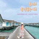 아쿠아윌 | 몰디브 올인클루시브 리조트 코라코라 수영장 아쿠아파짜 메뉴 후기 추천메뉴