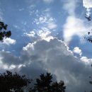 대공원역 2번 출구 앞 이미지