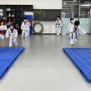 정문태권도 이미지