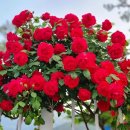 오월부동산중개 이미지