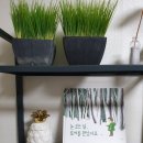 온양권곡초등학교 이미지