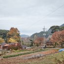 대기농촌체험휴양마을 이미지