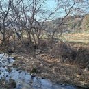 온땅공인중개사사무소 이미지