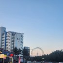 아까금농장 | 옛북청아바이순대ㅣ속초해변 속초아이 근처 혼밥 혼술 가능 맛집 추천 후기