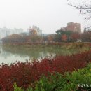 쌍암공원 이미지