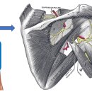 이도한의원 이미지