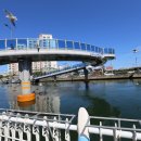 피카풀빌라 이미지