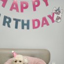 멈머냠냠 이미지