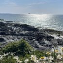 변산애 이미지