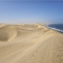 세렝게티 이미지