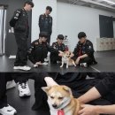 사옥농장 이미지