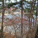 남해조경농원 이미지