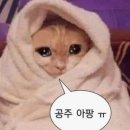 수정 | B12. 서울아이나여성의원 인공수정 1차 후기 (나팔관한쪽막힘 배란)