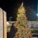 눈카페 | 부산 트리 카페 추천 ! 눈내리는 사상 카페 오르디 평일 방문후기( 눈 내리는 시간 )