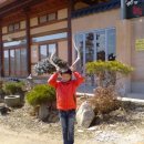 가족사랑체험펜션 이미지