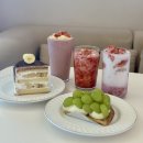 곡성-206 | [곡성 카페] 스노우베리 ㅡ 생과일 케이크가 맛있는 디저트 맛집
