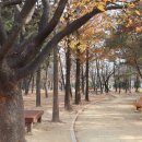 연지체육관 이미지