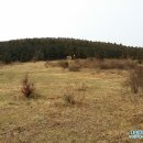 장자축산 이미지