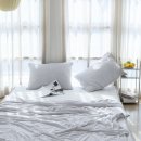 주식회사 쿨쿨 이미지