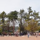 꿈이 자라는 작은도서관 이미지