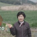 봉주르