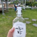 님 바래기 이미지