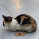 운천갤러리 이미지