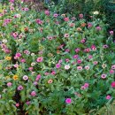 가산경로당 이미지