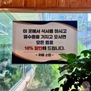 참나무 도토리 막국수 이미지