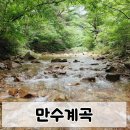 만수 | 충북 옥천 만수계곡 물놀이 후기 💙