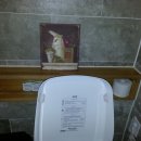 판교도서관 이미지