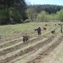 석구농장 이미지
