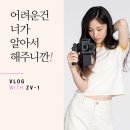 (주)블루텍솔루션과 함께하는 ZV-1 파헤치기 후기