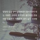모드니