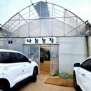 금농장 | 파주 아이와 실내 동물원 나눔 농장 먹이주기 체험 후기