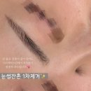 더스케치 이미지