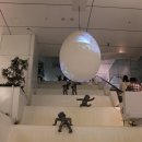 스위트돌하우스 | 후쿠오카 파르코백화점
