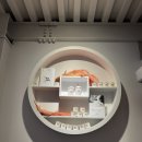 남경회식당 | 속초여행 대포항 남경막국수 한국식 냉파스타 들깨막국수|소라엄마 새우튀김