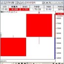 라이온트레이딩