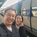 광천빌딩 | 서울역 출발 대전 당일치기 먹방 코스 총정리 (성심당·광천식당 웨이팅 꿀팁 포함)