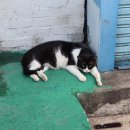 노총 이용원