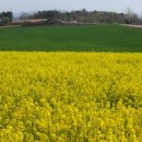 청보농장 이미지