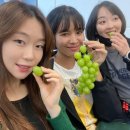 활동하는 캄보디아 국적의 프로 3쿠션 당구 선수. 대한민국과 캄보디아를 대표하는 당구 스타.