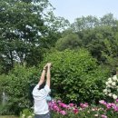 돌고개늘품 이미지